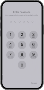 Enter Passcode of iPhone