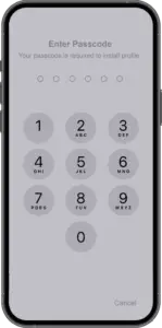 Enter Passcode of iPhone